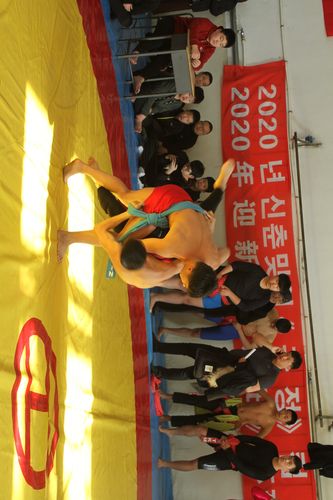 子摔跤：中国古老摔跤术及其现代发展