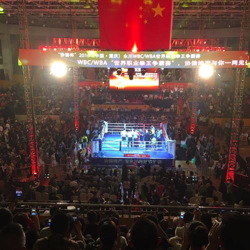 世界拳王争霸赛：全球最高水平拳击赛事的规则、选手与历届冠军