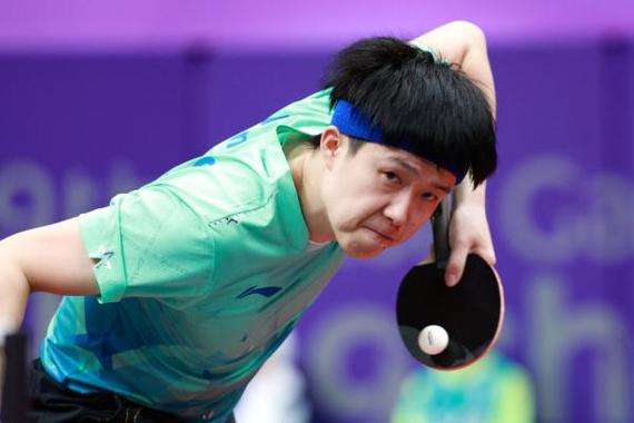 乒乓球大满贯得主：中国的荣耀与骄傲