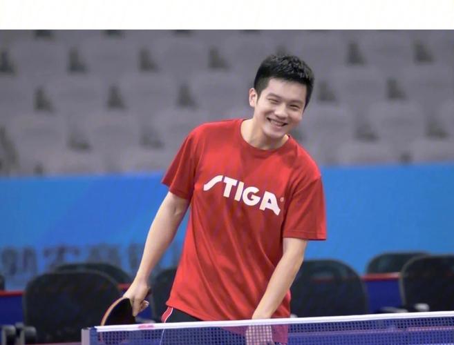 樊振东：虽身高不占优势，但用实力说话的乒乓球巨星