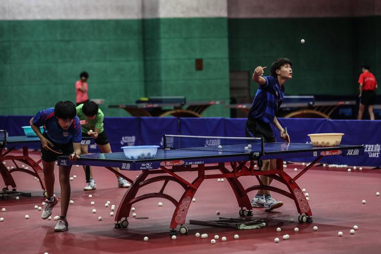 日本乒乓球女队：技艺精湛，未来可期