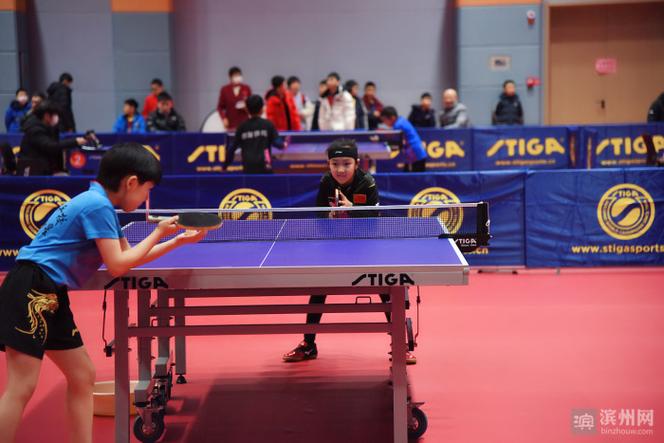 世界乒乓球最新排名男子：中国队的霸主地位与未来的挑战