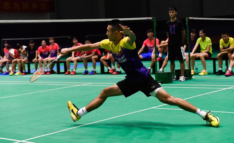 林丹世界排名被移除：中国羽毛球运动的挑战与机遇