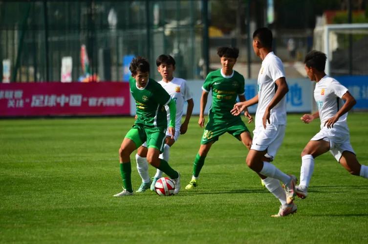 中国足球丙级联赛停止：业余联赛困境与未来发展