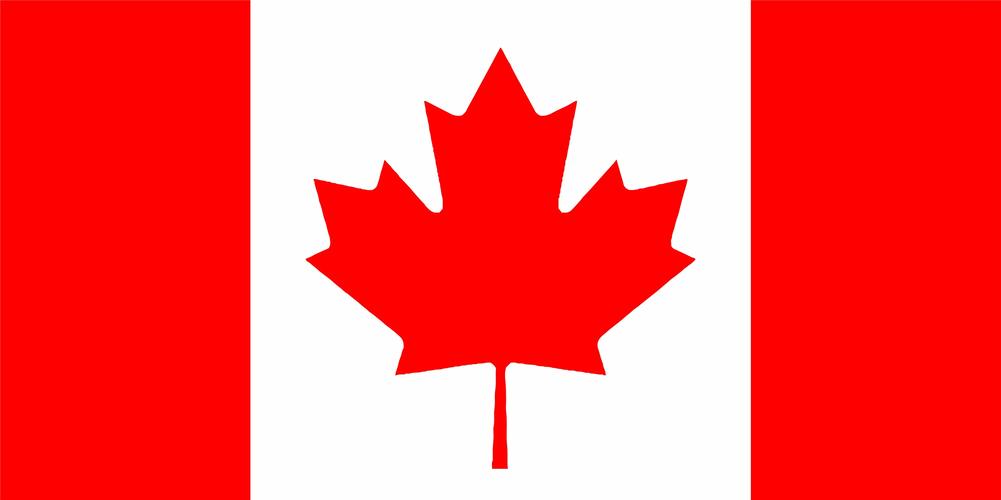加拿大篮球协会正式宣布：贾马尔-穆雷将缺席本届世界杯赛。